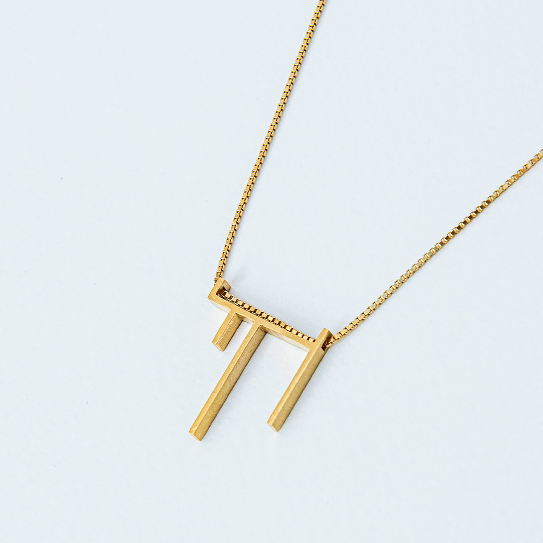 שרשרת חי אמיר קופסא